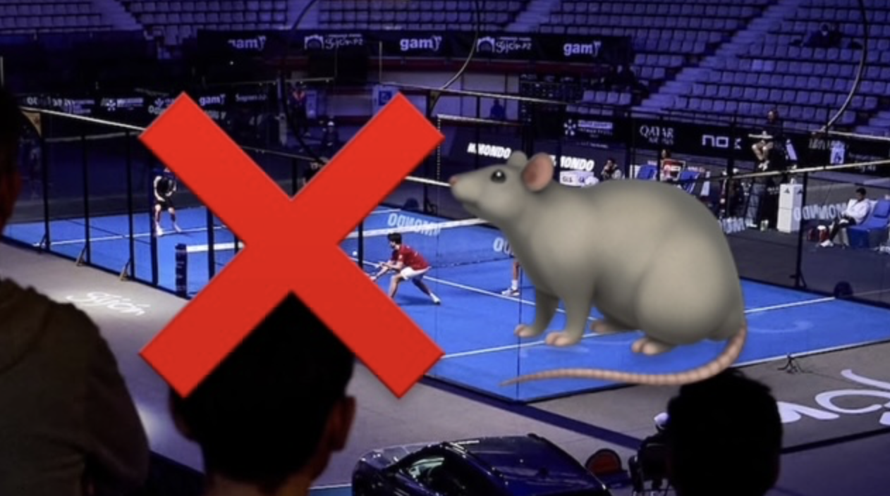 Skärmavbild 2025 02 26 Kl. 22.01.32